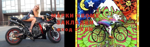 крисы Баксан